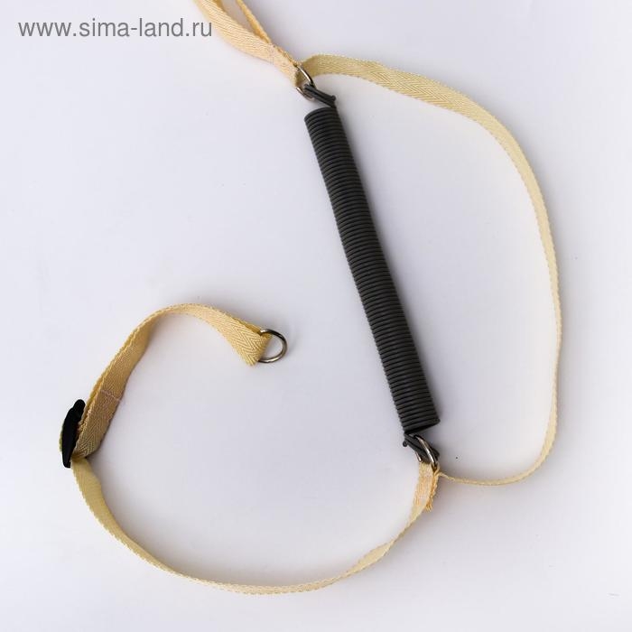 Прыгунки «Модель № 3», цвета МИКС Прыгунки «Модель № 3», цвета МИКС