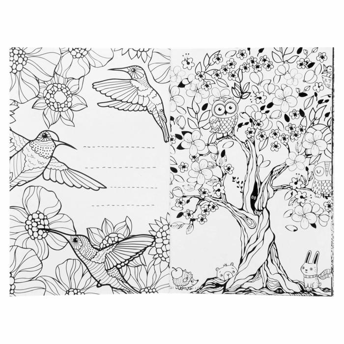 Раскраска - антистресс, альбом «Таинственный мир животных» А6