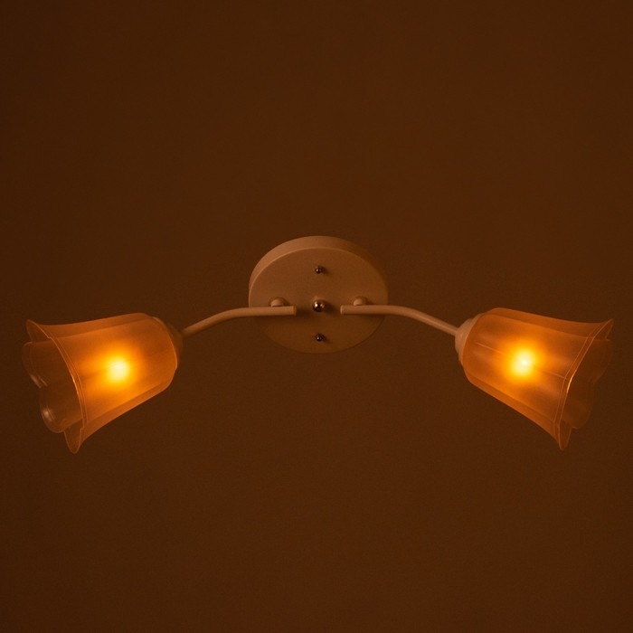 Люстра Люстра "Онлайн" (цветок) 2х15Вт Е27 МОДЕЛЬ: BR 00197 белый/прозрачный