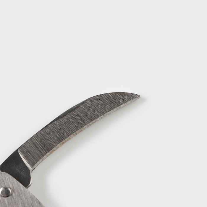 Набор для вина «Тоскана», 4 предмета: штопор, кольцо, пробка, каплеуловитель Набор для вина «Тоскана», 4 предмета: штопор, кольцо, пробка, каплеуловитель