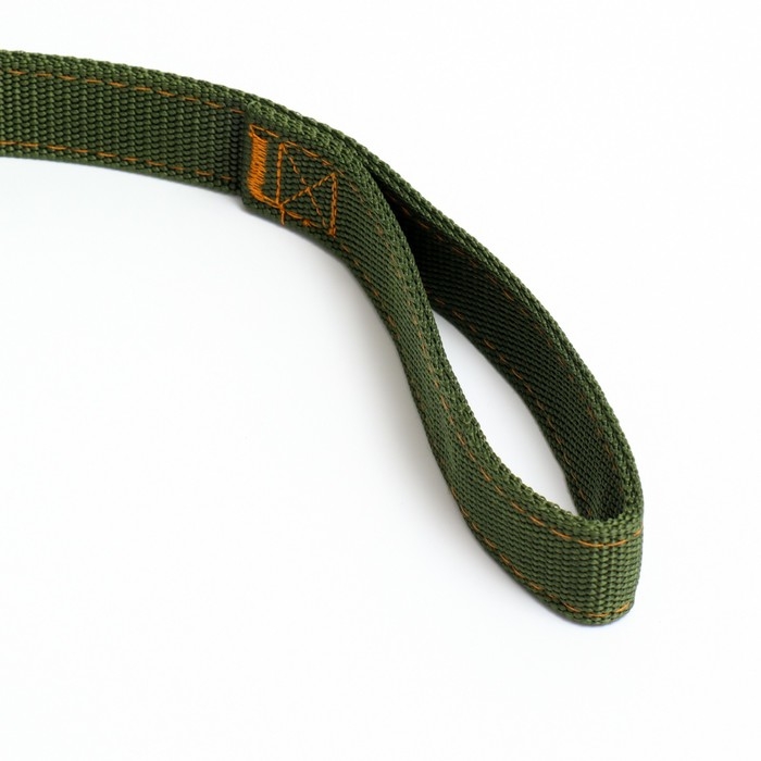 Поводок двухслойный с усиленным карабином, 2 м х 3 см, зелёный Поводок двухслойный с усиленным карабином, 2 м х 3 см, зелёный