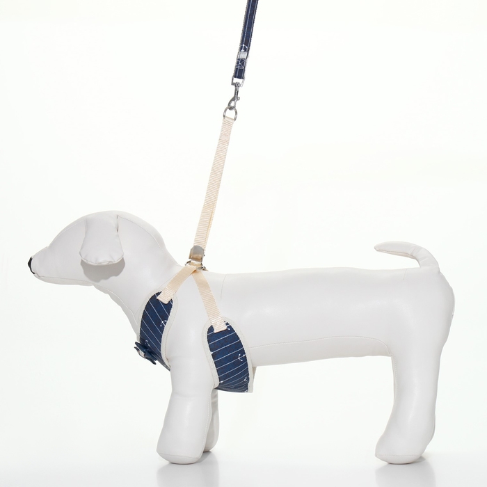 Комплект с мягкой шлейкой  Комплект с мягкой шлейкой "Якорь", размер L, поводок 120 х 1,5 см, ОГ 42-76 см, синий