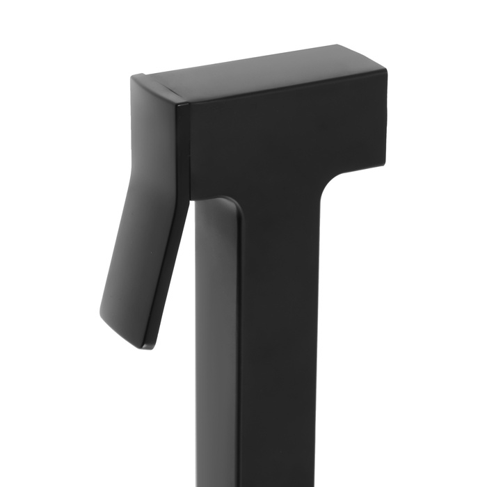 Гигиеническая лейка ZEIN Z4165, 1 режим, цинк, цвет черный Гигиеническая лейка ZEIN Z4165, 1 режим, цинк, цвет черный