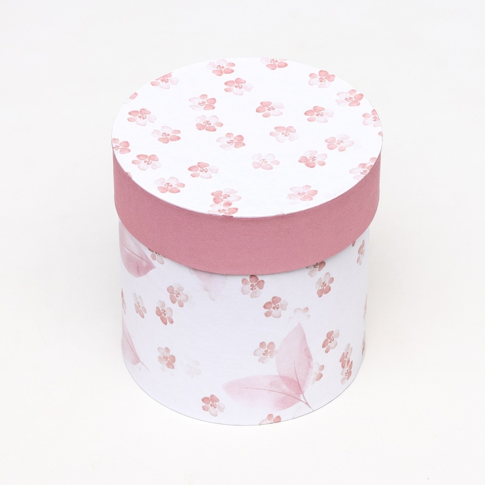 Набор шляпных коробок 5 в1  Набор шляпных коробок 5 в1 "Легкость", 20 х 20 - 15 х 15 см