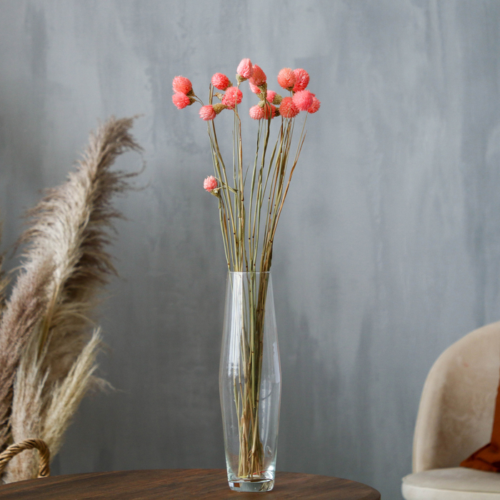 Сухоцвет &laquo;Гомфрена шаровидная&raquo; набор &mdash; от 17 до 20 шт., цвет розовый