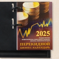 Блок для настольных календарей "Бизнес-календарь" 2025 год, 160 листов, 10 х 14 см