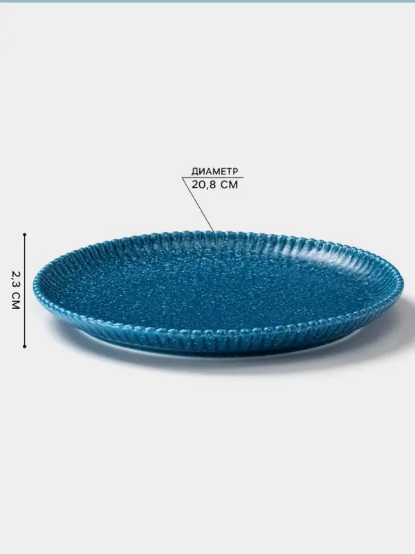 Тарелка Доляна &laquo;Коралл&raquo;, d=20.8 см, фарфор, синяя