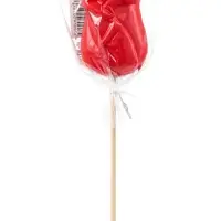 Карамель леденцовая &laquo;Цветы Botanical&raquo; на палочке, 30 г