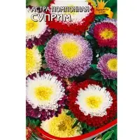 Набор Астра Суприм смесь, 110 семян (358112174) ОЗ