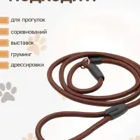 Ринговка для собак, 130&times;1 см, коричневая