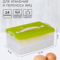 Контейнер для хранения яиц, 24 ячейки, двухуровневый, пластик, 24×16×11 см, зелёный