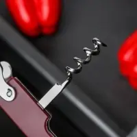 Открывашка универсальная Доляна «Цветная», 13 см, цвет МИКС