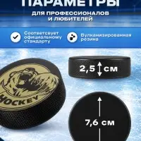 Шайба хоккейная Winter Star, взрослая, d=7.6 см