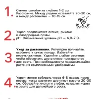 Семена Укроп &laquo;Кустистый&raquo;, 2 г, &laquo;Рецепты дедушки Никиты&raquo;