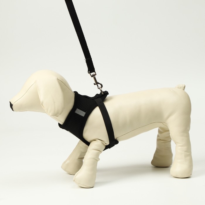 Комплект амуниции со светоотражающей нашивкой, S, ОШ 24 см, ОГ 28-33 см, чёрный Комплект амуниции со светоотражающей нашивкой, S, ОШ 24 см, ОГ 28-33 см, чёрный