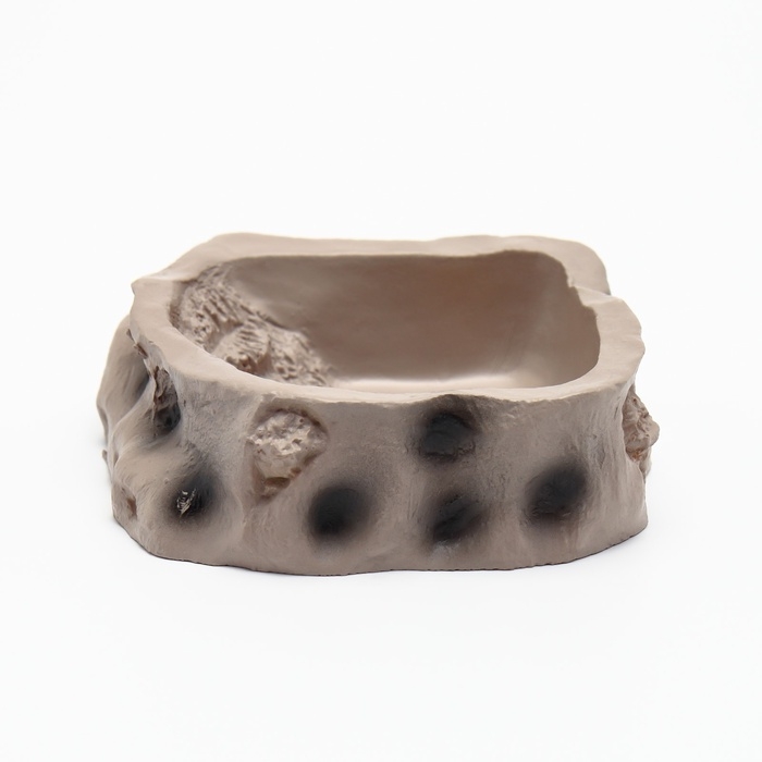 Кормушка для террариума, 8,2 х 8 х 2,5 см Кормушка для террариума, 8,2 х 8 х 2,5 см