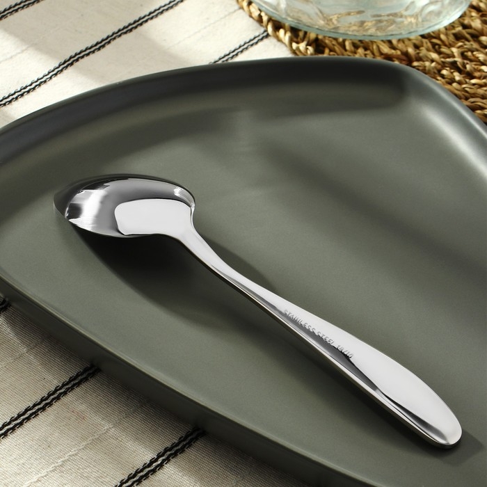 Ложка столовая из нержавеющей стали, длина 20 см, цвет серебряный Ложка столовая из нержавеющей стали, длина 20 см, цвет серебряный