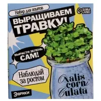 Набор для опытов &laquo;Выращиваем травку&raquo;, своими руками, голубой