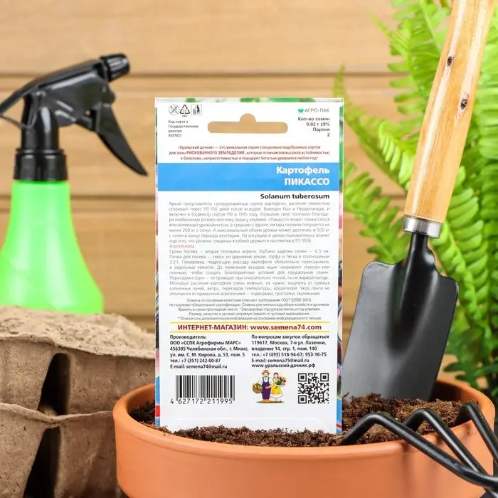 Семена Картофель  Семена Картофель "Пикассо",  0,02 г