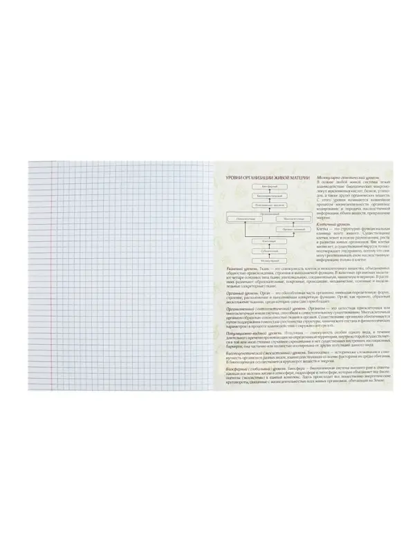 Тетрадь предметная 48 листов в клетку Calligrata, &laquo;Кеды. Биология&raquo;, картонная обложка