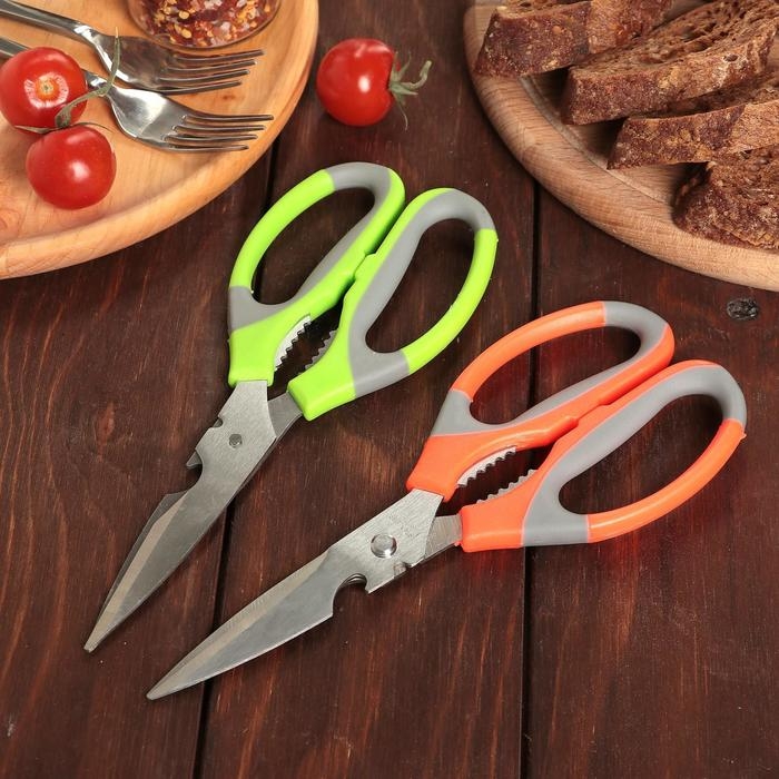 Ножницы кухонные Доляна «Драйв», 22 см, с открывалкой для бутылки, цвет МИКС Ножницы кухонные Доляна «Драйв», 22 см, с открывалкой для бутылки, цвет МИКС