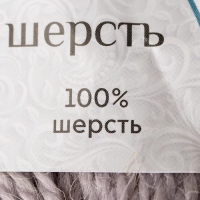 Пряжа "Аргентинская шерсть" 100% импортная шерсть 200м/100гр (106, жемчужный)