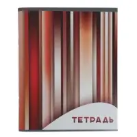 Набор тетрадей, 96 листов в клетку, Calligrata &laquo;Яркие полосы&raquo;, серые листы, 4 штуки