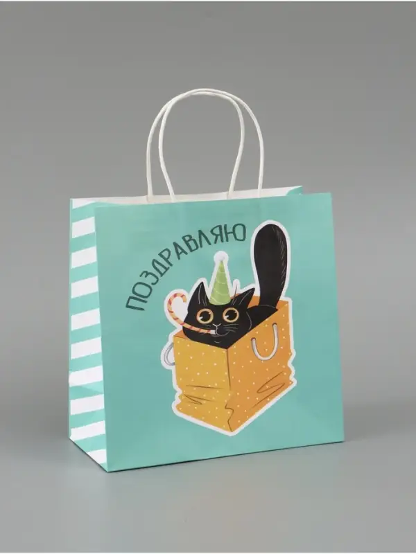 Пакет подарочный &laquo;Поздравляю&raquo;, 22 х 22 х 11 см