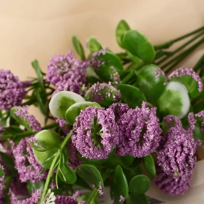 Букет Букет "Цеанотус" 30 см, микс