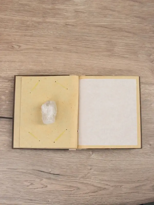 Фотоальбом "Черепаха" 10 листов, 19х19х2 см, цв. коричневый