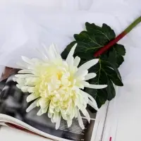 Цветы искусственные &laquo;Астра пионовидная&raquo;, 17&times;63 см, белые