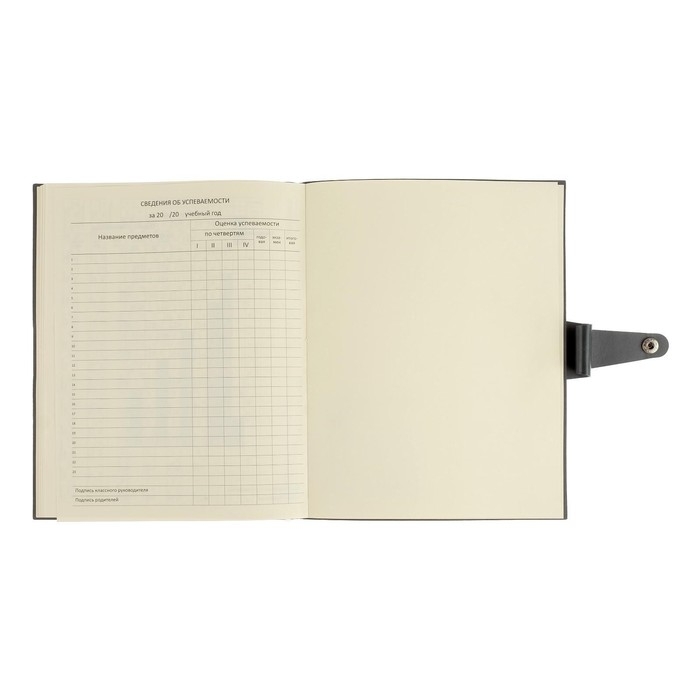 Дневник универсальный для 1-11 классов Favorite, интегральная обложка из искусственной кожи на кнопке, тиснение фольгой, ляссе, 48 листов