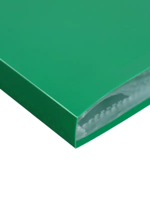 Папка с 20 вкладышами А4, 500 мкм, Calligrata, текстура &laquo;песок&raquo;, зелёная