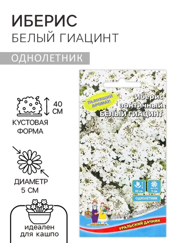 Семена Цветов Иберис зонтичный Семена Цветов Иберис зонтичный "Белый Гиацинт" ,0 ,15 г ,