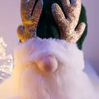 Светодиодная фигура &laquo;Гном зеленая шапочка&raquo; 33 см, текстиль, 1 LED, от батареек AG10&times;3, свечение тёплое белое