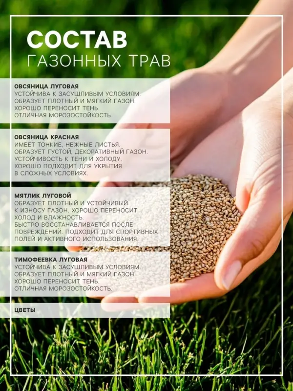 Газонная травосмесь &laquo;Мавританский &raquo; 0.5 кг