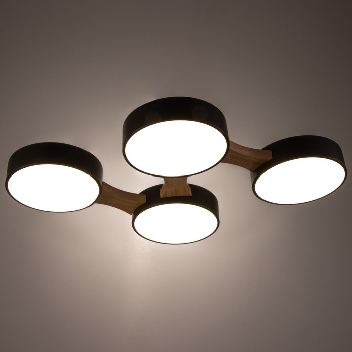 Люстра "Пиатти" 4LED 96Вт 3000-6000К черный 65х48х5 см BayerLux