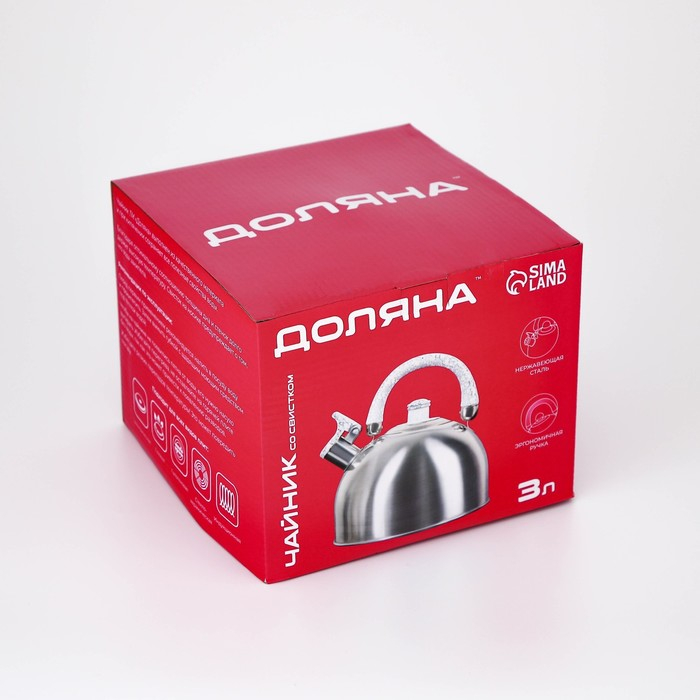 Чайник со свистком из нержавеющей стали Доляна «Чёрная ночь», 3 л, фиксированная ручка, цвет хромированный Чайник со свистком из нержавеющей стали Доляна «Чёрная ночь», 3 л, фиксированная ручка, цвет хромированный