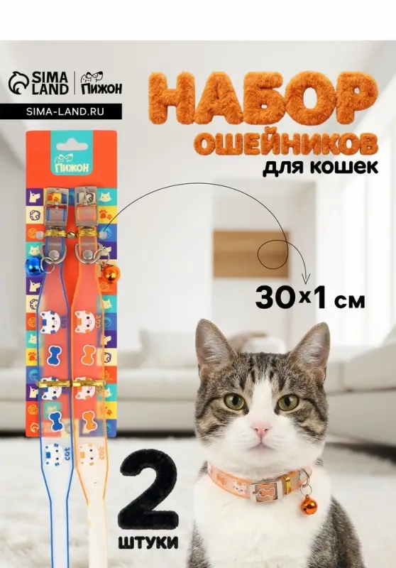Набор ошейников для кошек &laquo;Пижон. Котя&raquo;, 30&times;1 см, оранжевый, синий