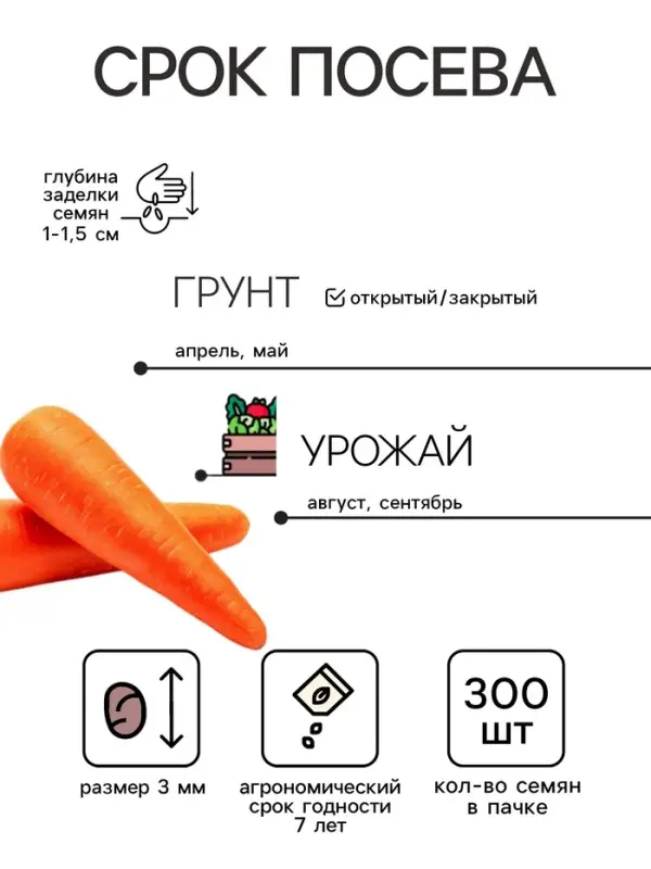 Семена Морковь &laquo;Королева осени&raquo;, простое драже, 300 шт., позднеспелая, &laquo;Росток-гель&raquo;