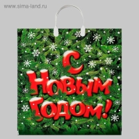 Новый год. Пакет "Поздравление", полиэтиленовый с пластиковой ручкой, 40х44 см.