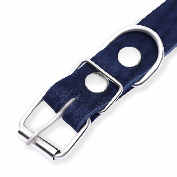 Ошейник кожаный однослойный, 54 х 2,5 см, ОШ 35-45 см, синий Ошейник кожаный однослойный, 54 х 2,5 см, ОШ 35-45 см, синий