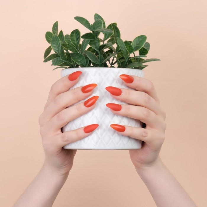 Накладные ногти, 24 шт, с клеевыми пластинами, форма миндаль, цвет коралловый Накладные ногти, 24 шт, с клеевыми пластинами, форма миндаль, цвет коралловый