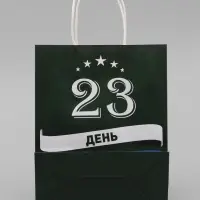 Пакет подарочный крафт &laquo;С 23 Февраля!&raquo; 21&times;11&times;27 См
