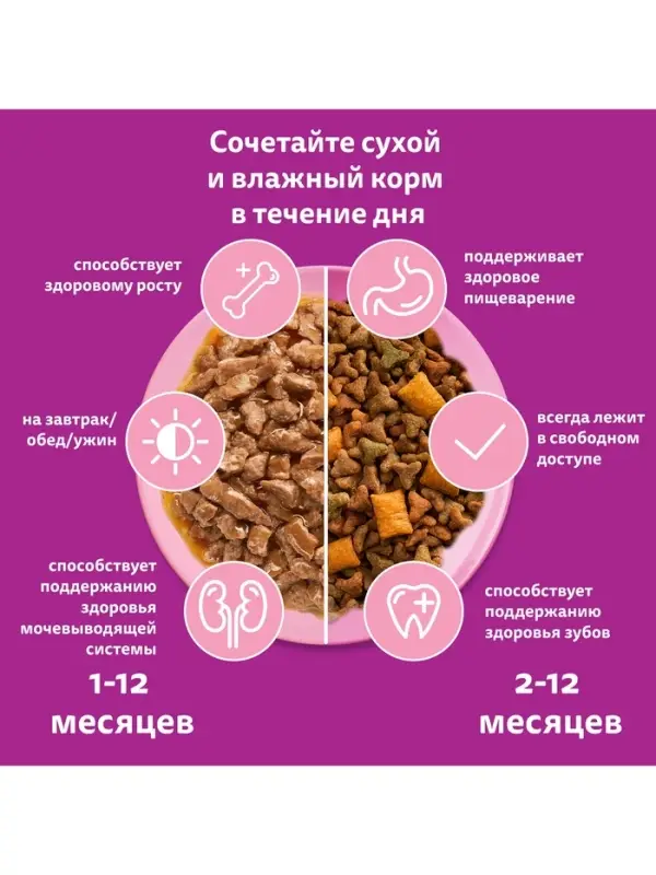 Влажный корм Whiskas для котят, рагу курица, 75 г