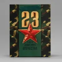 Пакет подарочный ламинированный, упаковка, &laquo;С 23 февраля&raquo;, MS 18&times;23&times;10 см