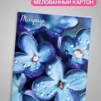 Тетрадь 96 листов в клетку &laquo;Цветы&raquo;, серые листы, МИКС