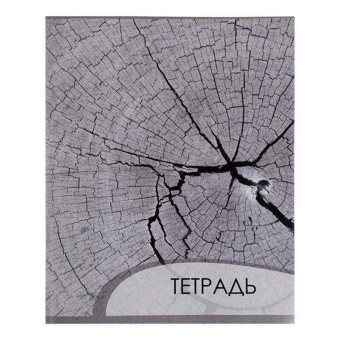Комплект тетрадей из 4 штук, 96 листов в клетку Calligrata Комплект тетрадей из 4 штук, 96 листов в клетку Calligrata "Металл", обложка мелованный картон, блок офсет