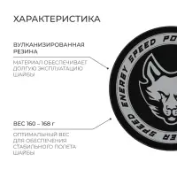 Шайба хоккейная Winter Star, взрослая, d=7.6 см