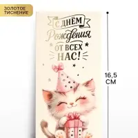 Конверт для денег &laquo;С днём рождения&raquo;, котик, тиснение, 16.5&times;8 см